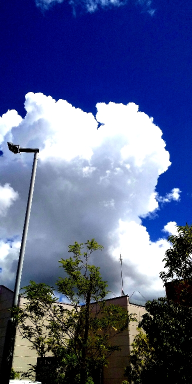 kumo